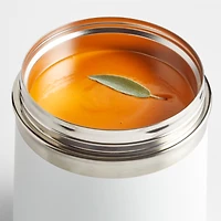 Tovolo Traveler Double-Walled Stainless Steel Ice Cream Container