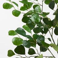 Faux Triangle Ficus Branch 38"