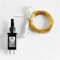 Twinkle Gold 10' Outdoor String Lights