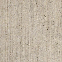 Vienne Performance Wool Handwoven Beige Area Rug 6'x9'