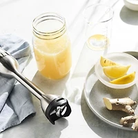 Vitamix 5-Speed Immersion Blender, Black