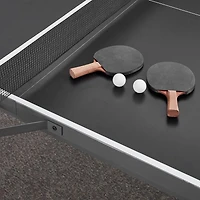 Walker Outdoor Table Tennis Table with Accessories