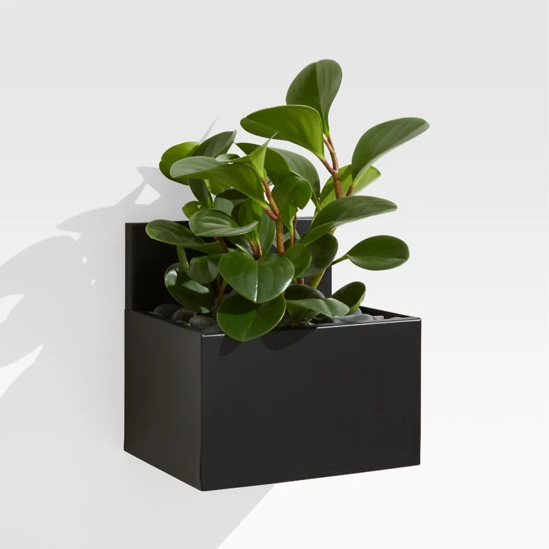 Pocket Black Wall Planter