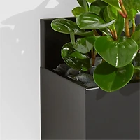 Pocket Black Wall Planter