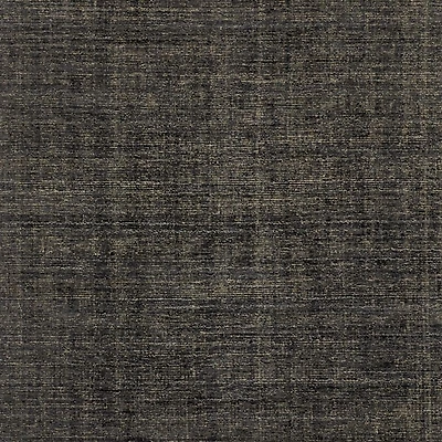 Whistler Viscose and Jute Blend Handwoven Charcoal Black Area Rug 6'x9'
