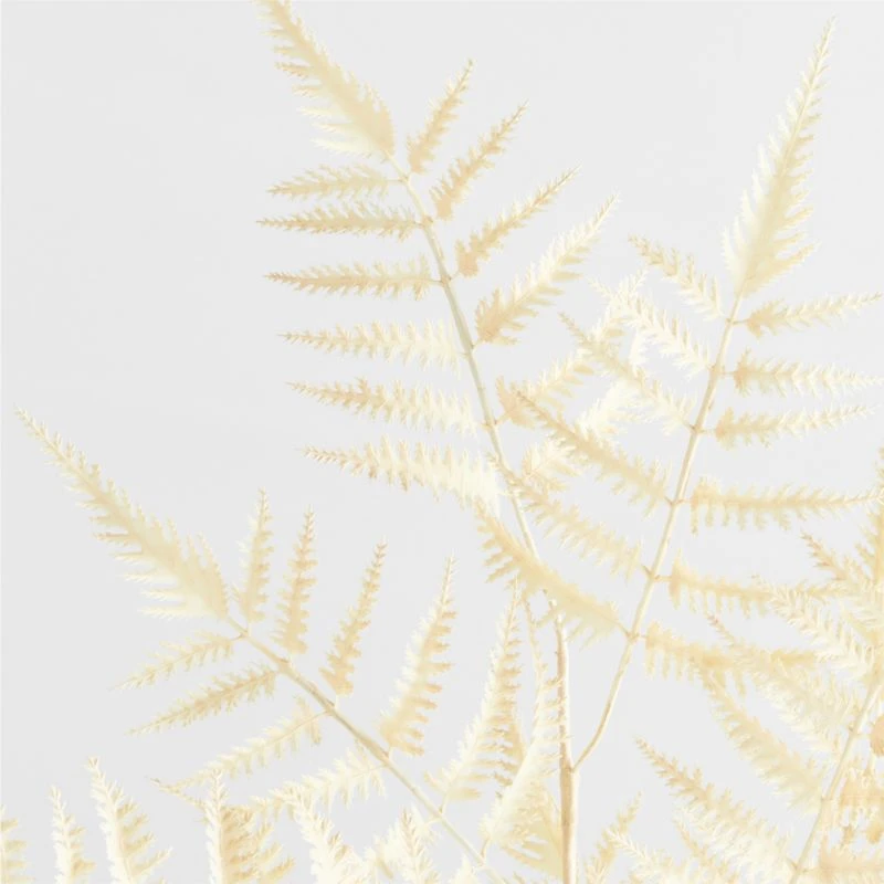 Faux White Fern Leaf Stem