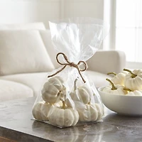 Faux White Pumpkin Bowl & Vase Filler