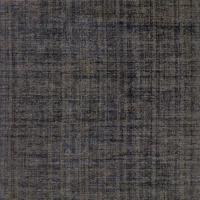 Whistler Viscose and Jute Blend Handwoven Blue Area Rug 12'x15'