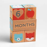 Wooden Milestone Baby Blocks
