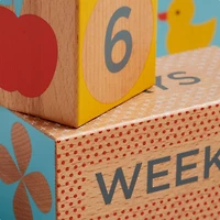 Wooden Milestone Baby Blocks