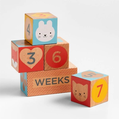 Wooden Milestone Baby Blocks