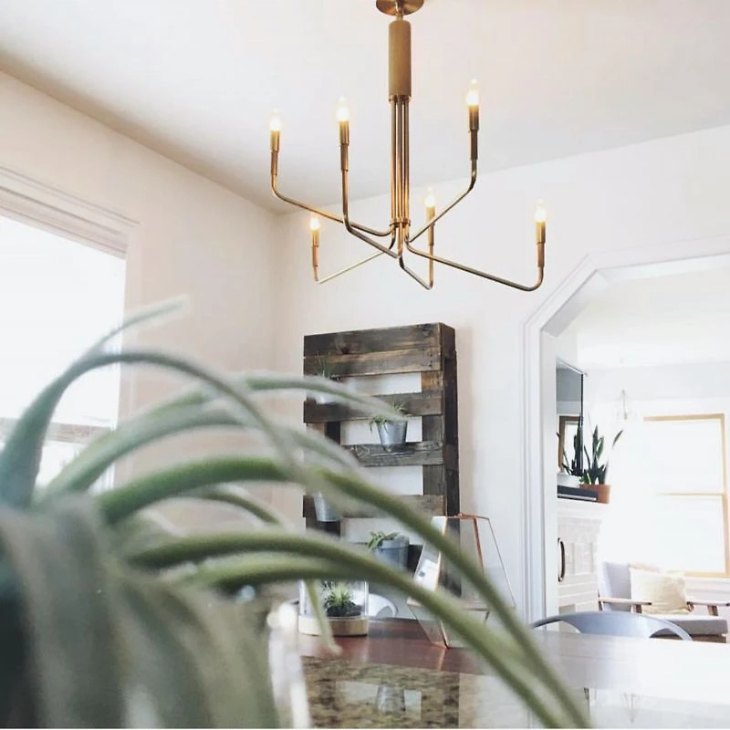Clive 8-Arm Bronze Chandelier Light