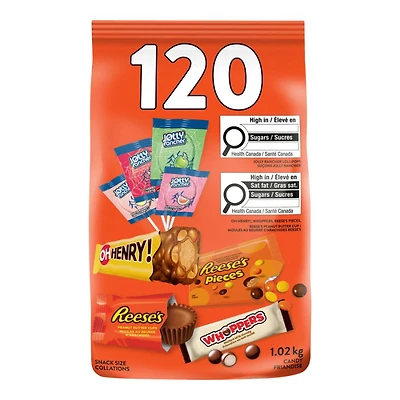 Hershey's Snack Size Chocolate Candy - Assorted - 120s / 1.02KG