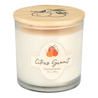 STUDIO OH CANDLE CITR/SUMMIT14OZ