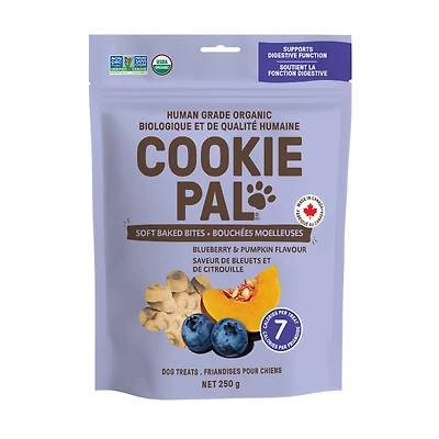COOKIE PAL PUMP SOFT 04142 in Blue