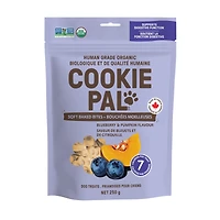 COOKIE PAL PUMP SOFT 04142 in Blue