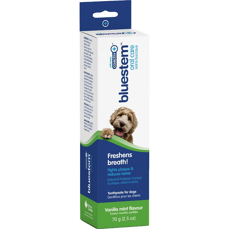 B/S TOOTHPASTE VANILLA in Mint