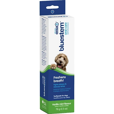 B/S TOOTHPASTE VANILLA in Mint