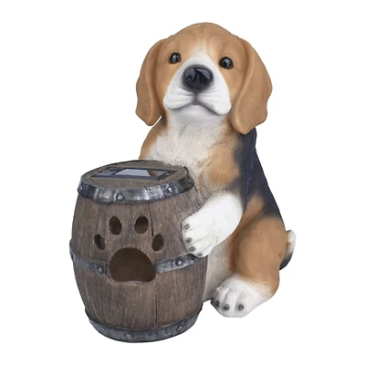 COLLECTION SOLAR DOG
