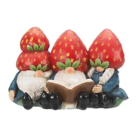 COLLECTION GNOMES