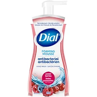 Dial Complete Antibacterial Foaming Hand Wash - Power Berries - 221ml