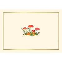 P/PAUPER MUSHROOMS NOTE CARD