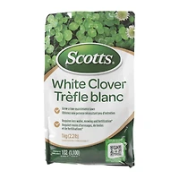 SCOTTS CLOVER in White