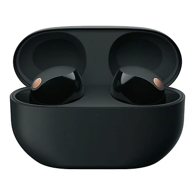 Sony WF-1000XM5 True Wireless Earphones - Black - WF1000XM5/B