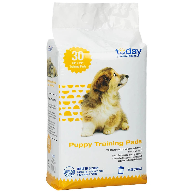 Today by London Drugs Puppy Training Pads - 30s