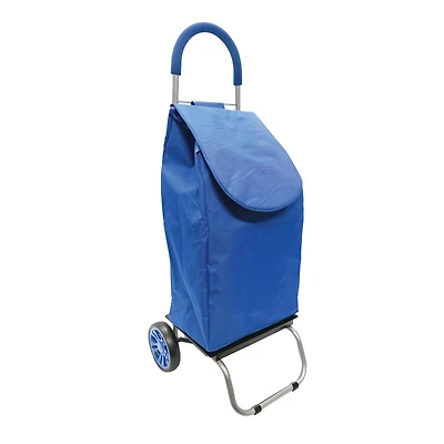 TODAY SHOPPING CART W/LINING in Blue Size 37x35x94cm
