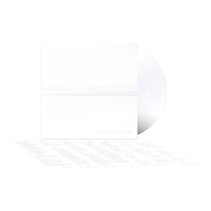 Foo Fighters - But Here We Are - LP vinyl