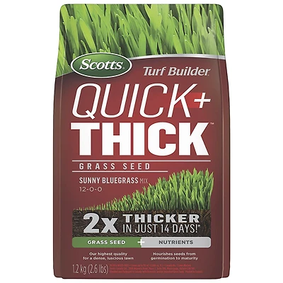 Scotts Turf Builder Quick + Thick Sunny Bluegrass Mix 12-0-0 Grass Seed and Nutrients - 1.2kg
