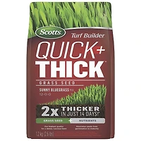 Scotts Turf Builder Quick + Thick Sunny Bluegrass Mix 12-0-0 Grass Seed and Nutrients - 1.2kg