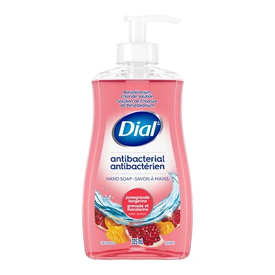 DIAL LIQUID H/SOAP POM/TAN 325ML
