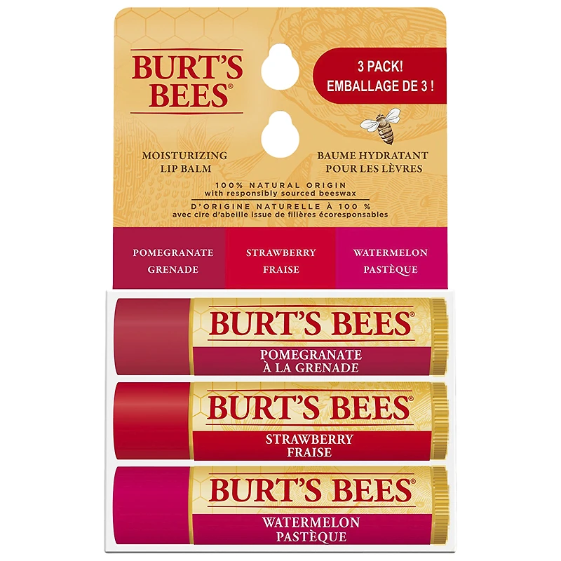 Burt's Bees Moisturizing Lip Balm Set - 3 piece