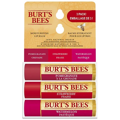 Burt's Bees Moisturizing Lip Balm Set - 3 piece