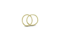 10K Yellow Gold 10mm Sleepers