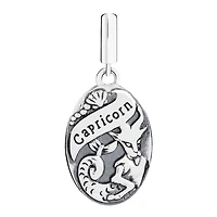 Chamilia Sterling Silver Zodiac Capricorn