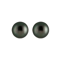 Tahitian Pearl Stud Earrings