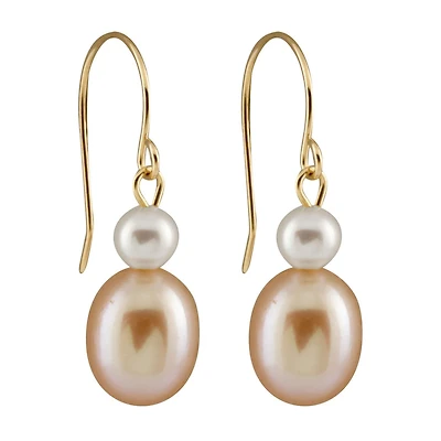 Dangling Multi-Coloured Earrings