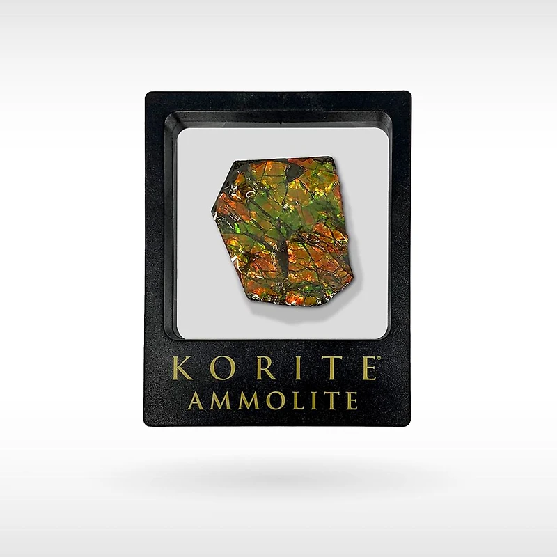 Korite Ammolite Large Hand Specimen