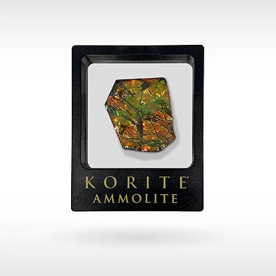 Korite Ammolite Large Hand Specimen