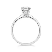 Glacier Fire 14K White Gold 1.00CT Solitaire Ring