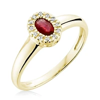 10K Yellow Gold Garnet & 0.04CTW Diamond Halo Ring