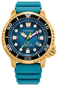 Citizen Unisex Dive Watch