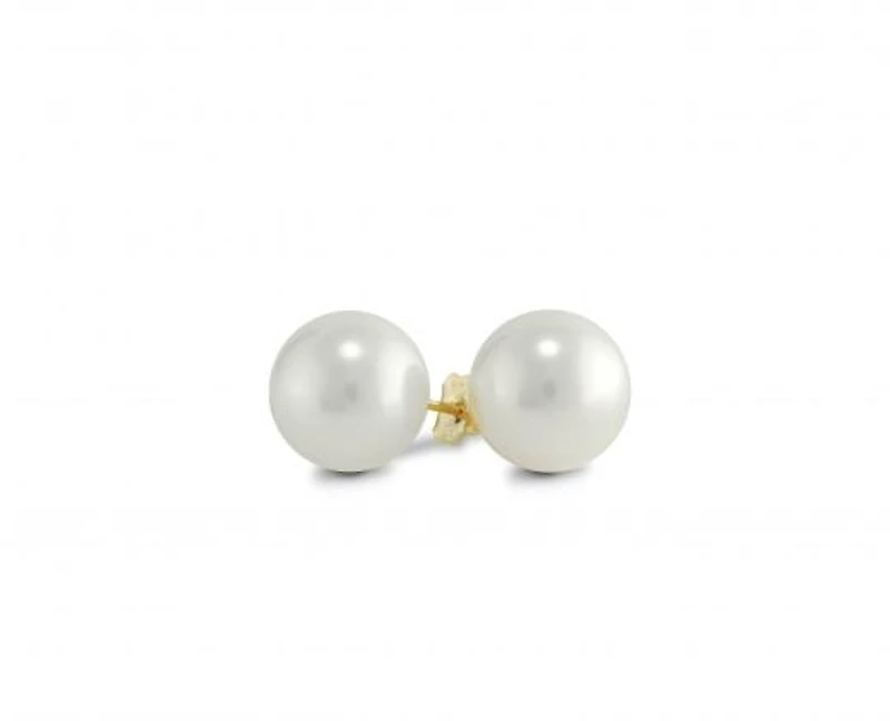 Yellow Gold 9-9.5mm Freshwater Pearl Earrings