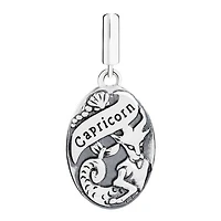 Chamilia Sterling Silver Zodiac Capricorn