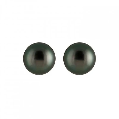 Tahitian Pearl Stud Earrings
