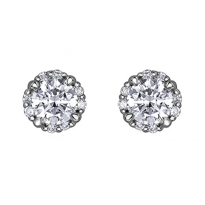 Glacier Fire 0.50CTW White Gold Studs