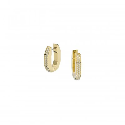 Swarovski Dextera Earrings